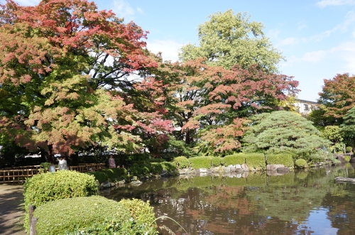 山形の紅葉