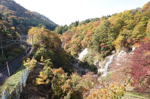 山形の紅葉