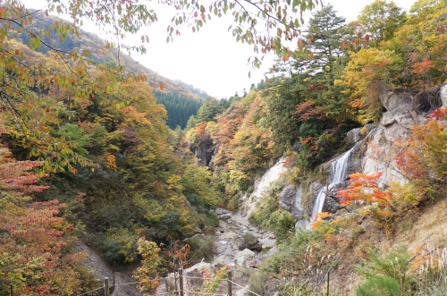 山形の紅葉