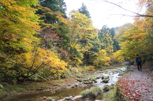山形の紅葉
