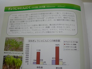庄内の農産物のチカラ
