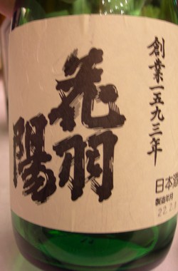 花羽陽