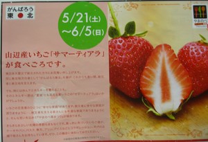 やまのべ 苺まつり