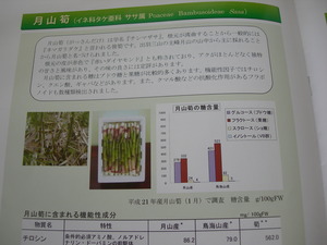 庄内の農産物のチカラ