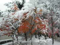 紅葉から雪景色へ