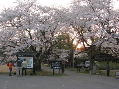 松ヶ岡開墾場