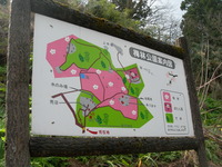 湯田川温泉の梅林公園
