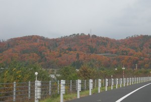 昨日の月山道路
