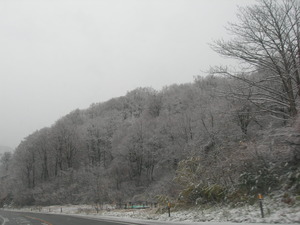 昨日の月山道路
