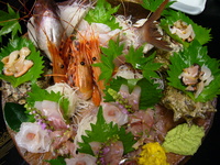 庄内の海の幸を味わう（いさごや）