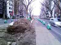 今日の青葉通り
